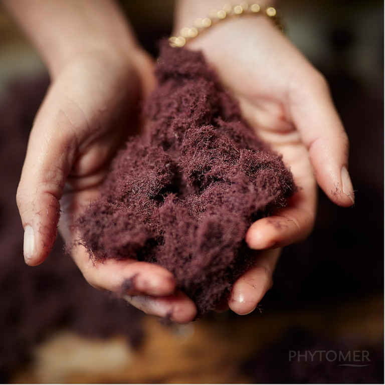 PHytomer- sự khác biệt